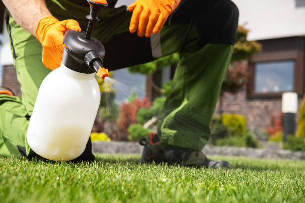 Pest Control for Restaurants in Palatka, FL