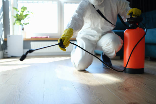 Professional Pest Control in Palatka, FL